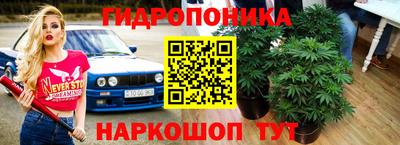 амф Ливны