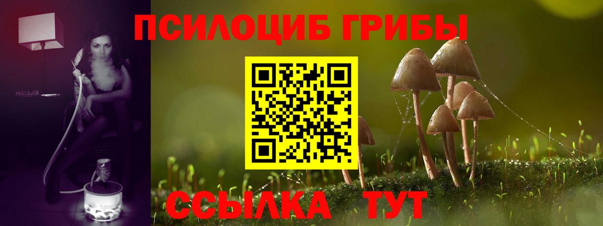 Псилоцибиновые грибы Magic Shrooms Зима